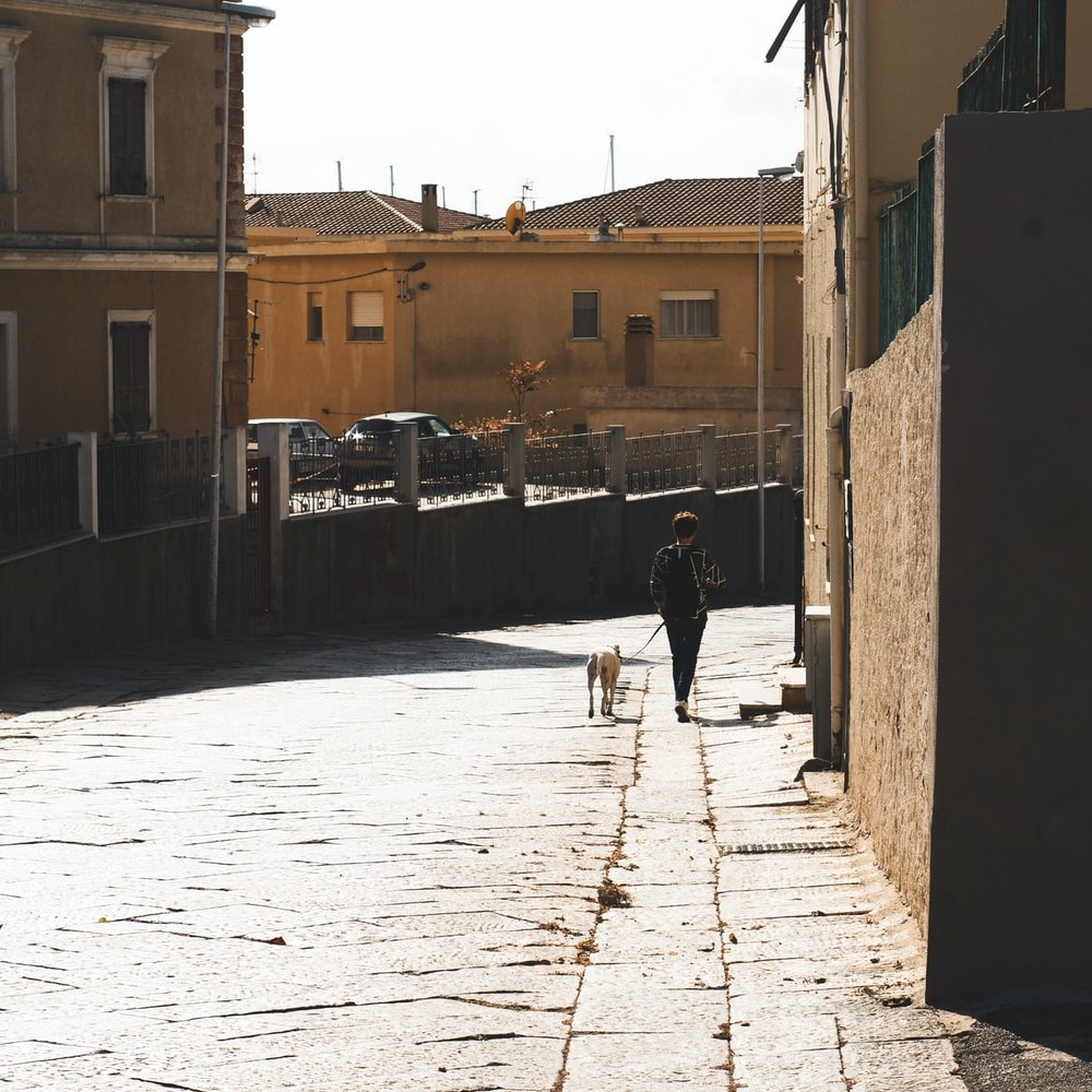 Person walking a dog on an empty street