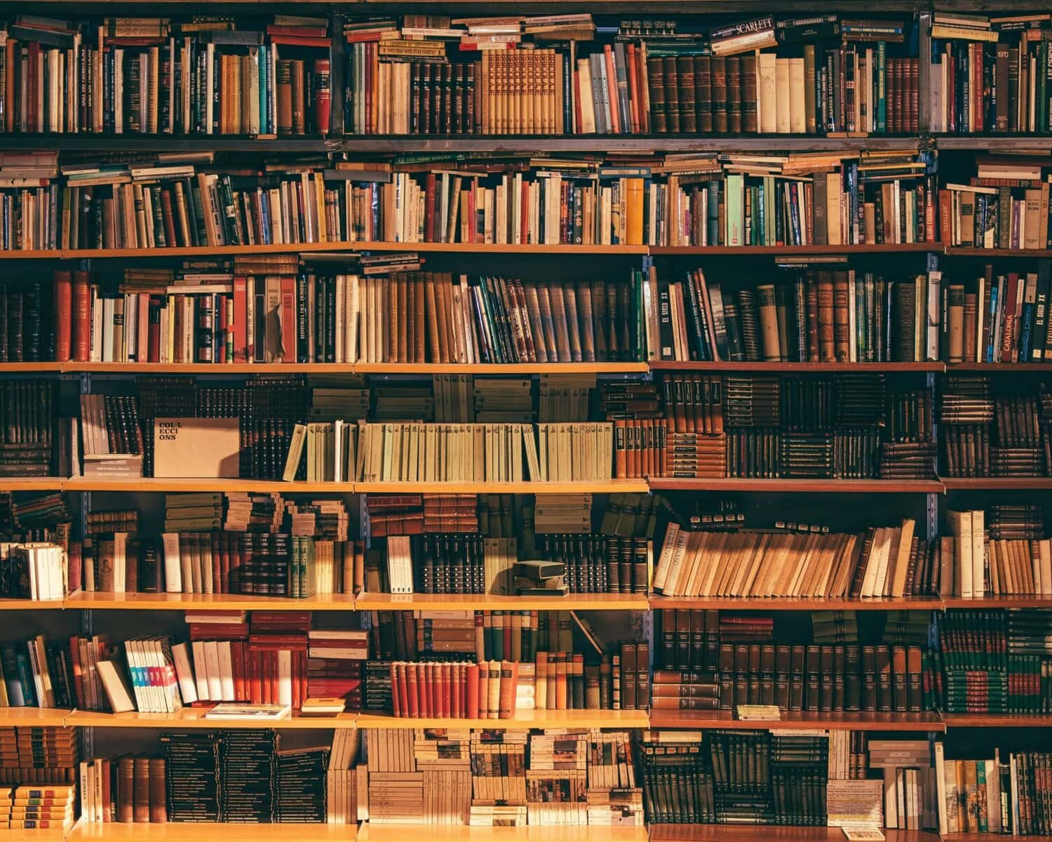 A bookshelf of books